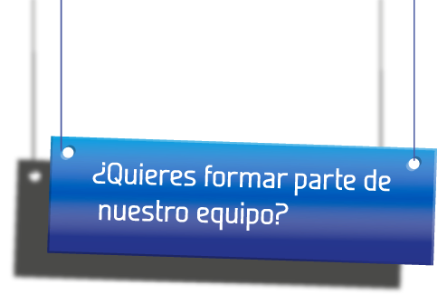 Trabaja en Palsa