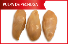pulpa